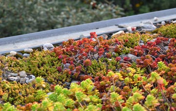 the cost of Watchill green roof installation