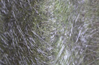 Watchill fibreglass roof work